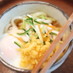 薬味ぶっかけうどん