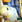 yotiko