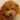 モコチン