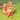 キプりん