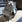 ねこるる