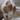 robicat