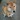 柴犬Tさくら