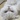 こゆき猫
