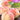 花まめ