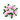 rosemist