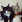 nyaop