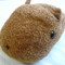 カピぞう