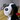 PanDomo