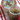 nao-cafe