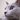 赤福猫
