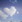 こじまあい