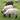 spitze