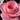 norihime