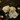 HALMINちゃん