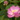 yoppi0128