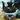 ねぎとろ