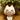 ゆった