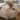 ★fumi★