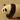 kumaneko7