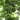 fum0719
