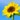 ree_happy