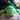iibata