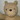yasu-pooh